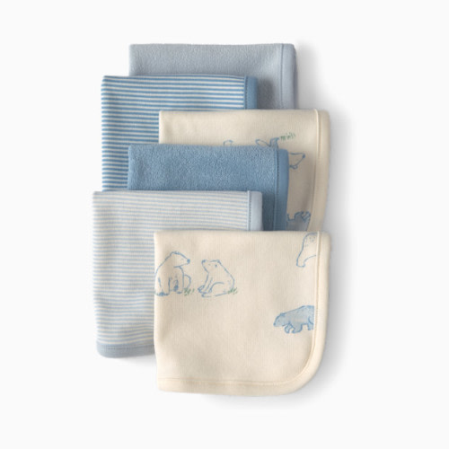 Wash Cloths (6 Pack) - Blue Bear