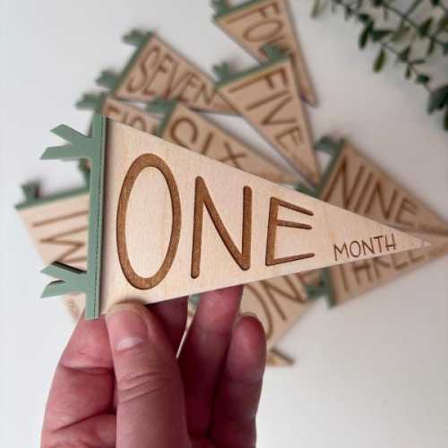 Wooden Monthly Milestone Pennant Flags for Baby Photos | Newborn Milestone Signs Baby Shower Gift | Birth Announcement Ideas Gender Neutral