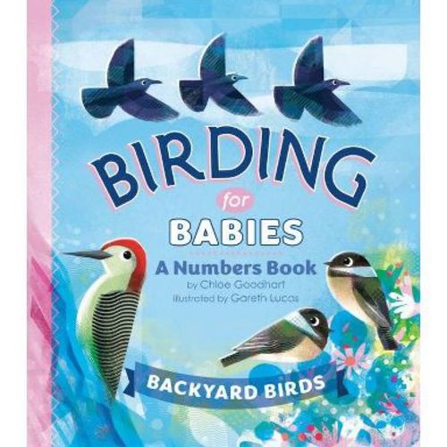 Birding for Babies: Backyard Birds - by Chloe Goodhart (Board Book)