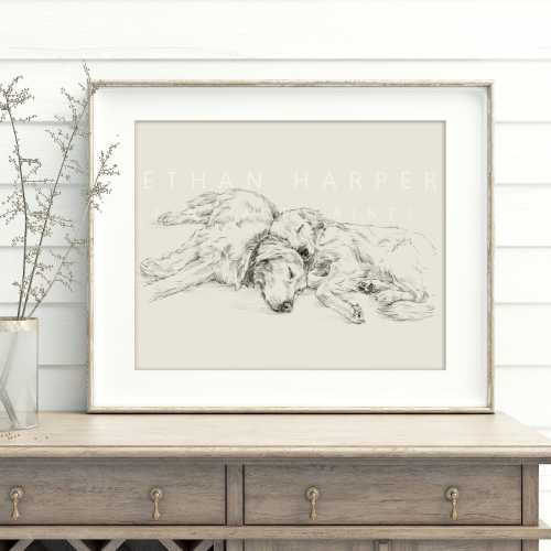Golden Retriever Drawing Fine Art Print by Artist, Ethan Harper. Artwork for Dog Lovers.