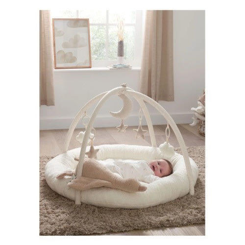 Playmat And Gym in Duckling