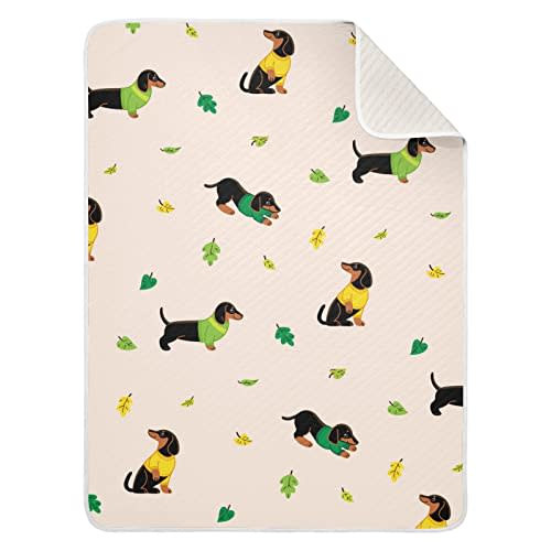 Cute Dogs Dachshunds Cotton Baby Blanket 30" x 40" Warm Soft Breathable Muslin Swaddle Blankets for Toddler Boys Girls Nursery Receiving Wraps
