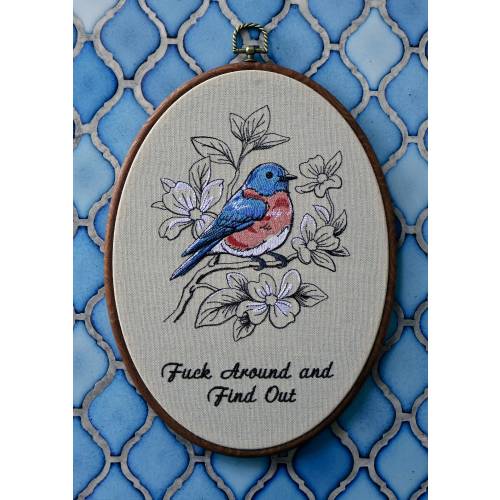 CUSTOM TEXT Wall Hanging Embroidery Canvas Gift Includes Resin Hoop Rude Decor