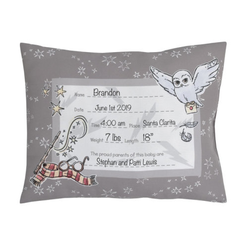 Warner Brothers Nojo Harry Potter Magical Moments Pillow | Wayfair