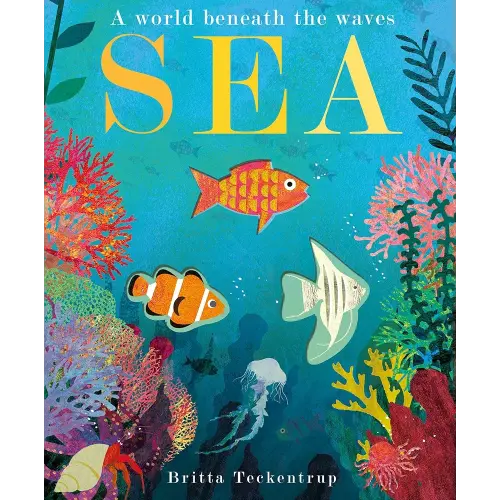 Sea: A World Beneath the Waves