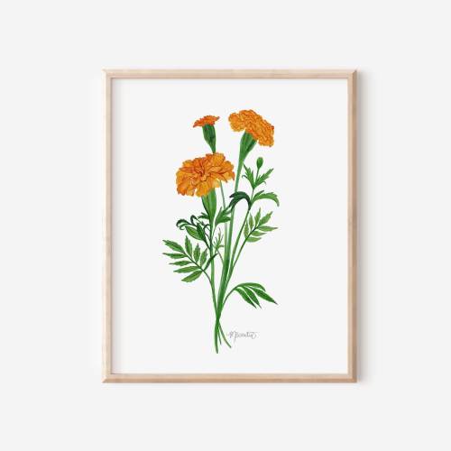 Marigold Watercolor Art Print, October Birth Month Flower, Marigold Painting, Wall Art, Nursery Wall Art, Orange Flowers