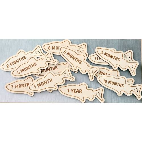 Fishing Monthly Milestone Markers Baby Shower Gift Fish Bass Photo Prop