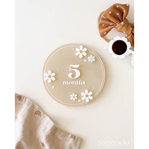 Acrylic Daisy Flower Arched Milestone Cards | Monthly Milestone Markers | Boho Interchangeable Milestone Card | Baby Shower Gift, Photo Prop