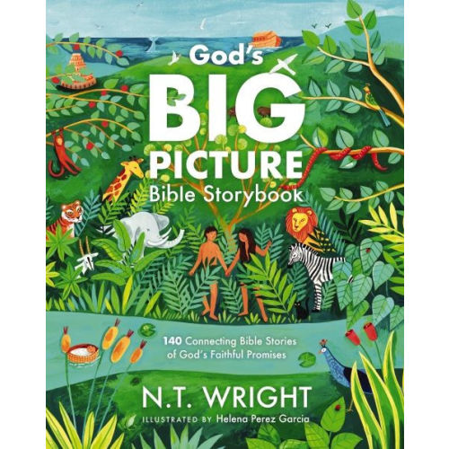 God's Big Picture Bible Storybook: 140 Connecting Bible Stories of God's Faithful Promises by N. T. Wright, Helena Perez Garcia, Hardcover | Barnes & Noble®