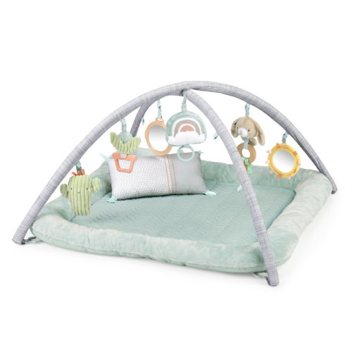 Ingenuity Calm Springs Plush Activity Gym - Chic Boutique | Wayfair
