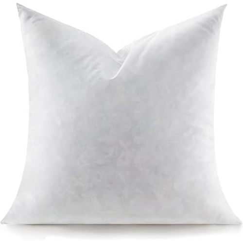 Feather Throw Pillow Insert, Soft Fluffy Square 20 x 20 Inches Decorative Pillow Insert, Feather and Down Euro Pillows for Bed, Couch and Cushion