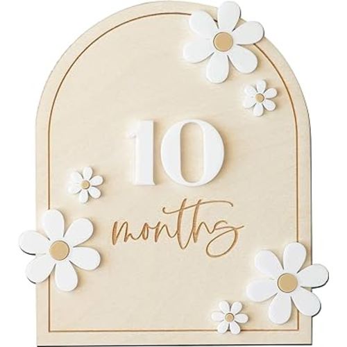 Daisy 3D Baby Monthly Milestone, Wooden Baby Milestone Signs, Monthly Milestone Wood Discs, Baby Milestone Discs (Daisy)