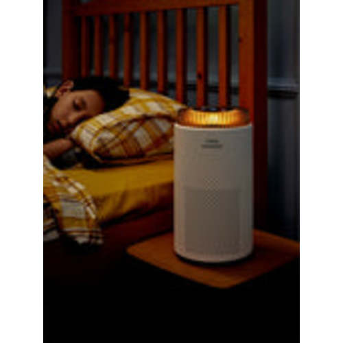 Airmega 100 – Cowaymega