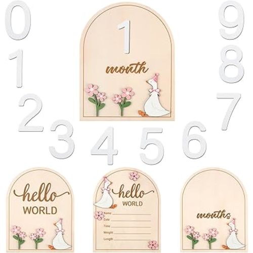 2 Pcs Baby Monthly Milestone Cards with Pink Bow Wooden Coquette Discs Newborn Photography Props to Document Your Baby's Growth Newborn Gift for Girl and Boy(Silly Goose)