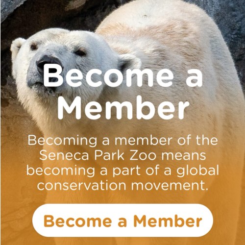Seneca Park Zoo Family Membership