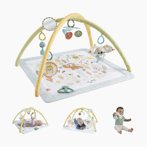 Fisher-Price Simply Senses Newborn Gym - Multi