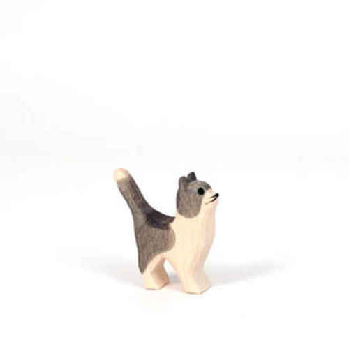 Ostheimer Cat Gray and White Head Up
