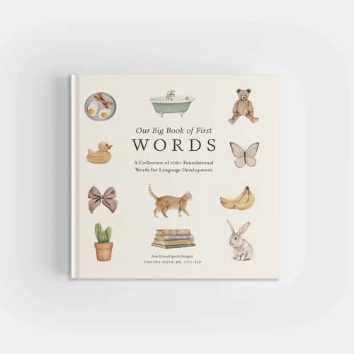 Our Big Book of First Words