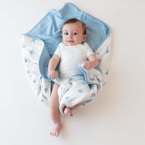 Baby Blanket in Jurassic 1.0