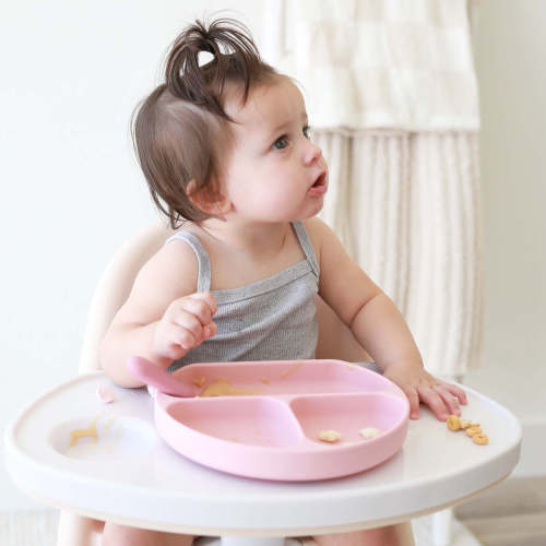 Silicone Suction Plate