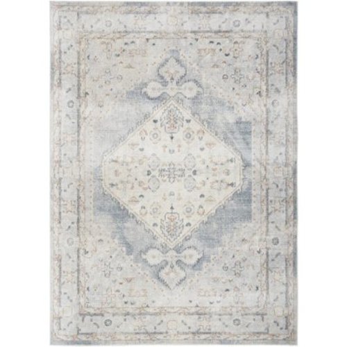 Nourison Astra Machine Washable Persian Light Blue 6'7" x 9' Area Rug (7x9)