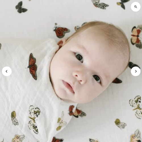 Clementine Kids Butterfly Migration Crib Sheet – oh baby!