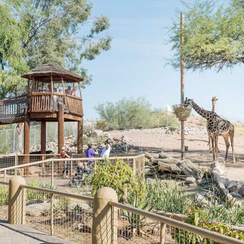 Phoenix Zoo Membership (Individual Plus)