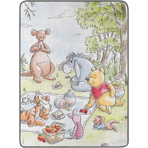 Northwest Winnie The Pooh Micro Raschel Throw Blanket, 46" x 60", Friend Picnic