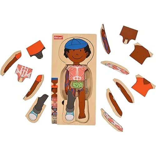 Kidzlane African American Boy Wooden My Body Puzzle for Toddlers and Kids - 29 Piece Girls Anatomy Puzzle Kid Play Set - Anatomy for Kids, Skeleton Toys for Kids Ages 3 Plus