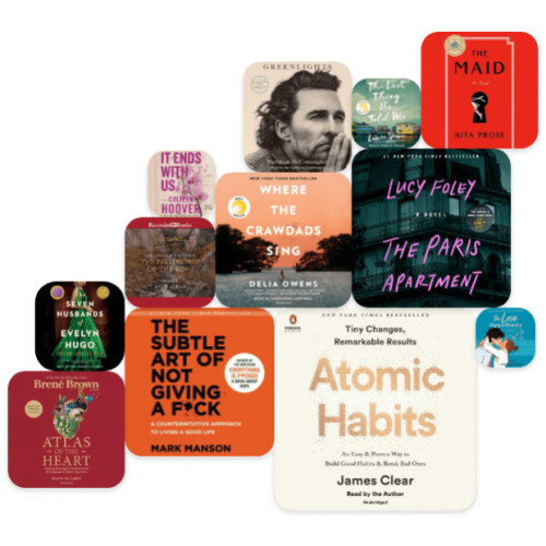 Audiobooks.com Audiobooks Gift Subscription