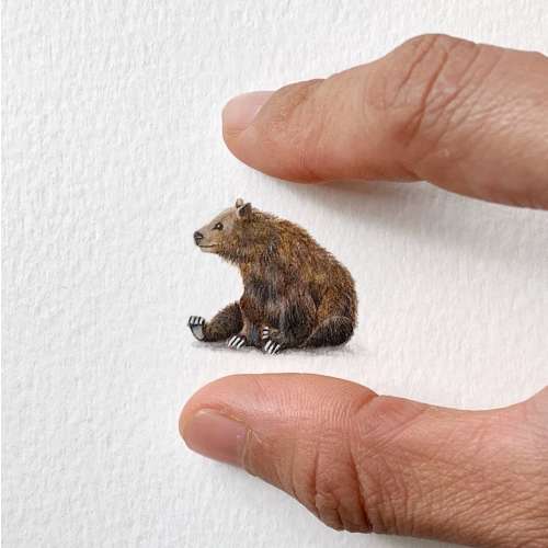 Brown bear, miniature painting, tiny art, grizzly bear, original painting