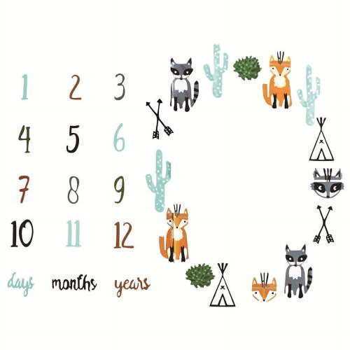 Casewin Baby Monthly Milestone Blanket, Neutral Personalized Month Blanket for Boy Girl Newborn Soft Plush Fleece Photography Background Bonus Felt Milestone Number