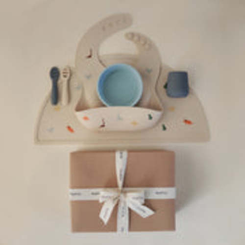 Stage 1 Feeding Kit (Dinos) – Mushie