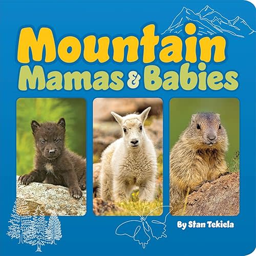 Mountain Mamas & Babies (Mamas and Babies) Board book – Picture Book, March 26, 2024