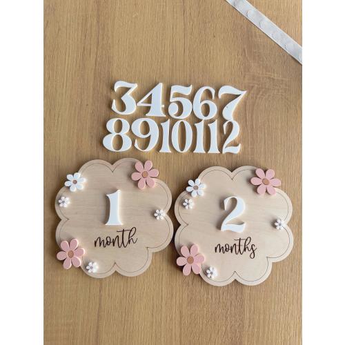 Daisy Hello World Baby Birth Announcement| Hello World Name announcement| Hospital Name sign| Birth Star sign| I’m New Here