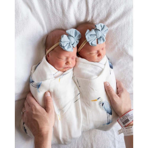 Southern Storks - Swaddle
