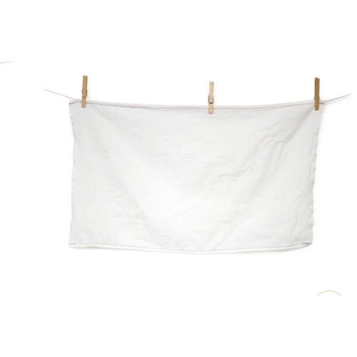 Cloth-eez Flat Birdseye Diapers