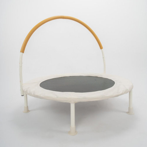 Jumpking 36 Inch Indoor And Outdoor Toddler Trampoline With Bungie Cords, Powder Coated Rust Resistant, Perfect For Families With Young Children & Reviews | Wayfair