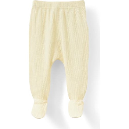 Organic Pointelle Legging, 3-6M