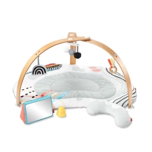 Discoverosity Deluxe Activity Gym
