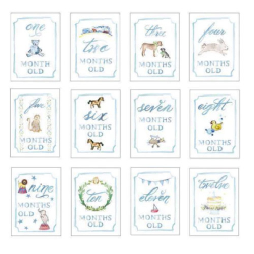 Monthly Milestone Card Set – Over The Moon Gift