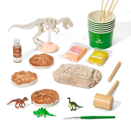 Paleontologist Starter Kit
