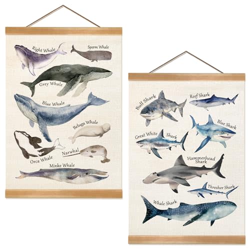 ZTGDA Sharks and Whales Posters, Sea Animals Shark Posters Wall Art, Educational Poster for Kid Classroom Decorations Kids Room Home Nursery Playroom, Set of 2