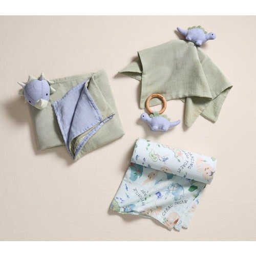 Dinosaur Muslin Gift Set