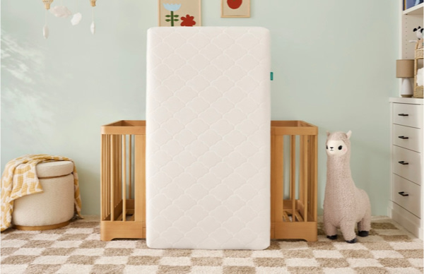 Newton Crib Mattress
