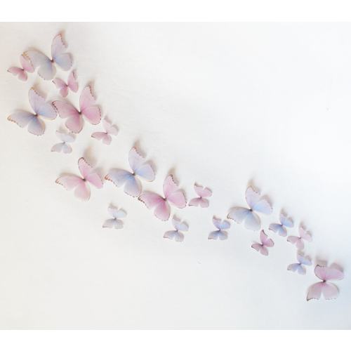 3D Wall Butterflies- Light Pink and Purple Princess Mix