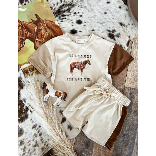 World Needs More Ranch HorsesColor Block Short Set (Copy)