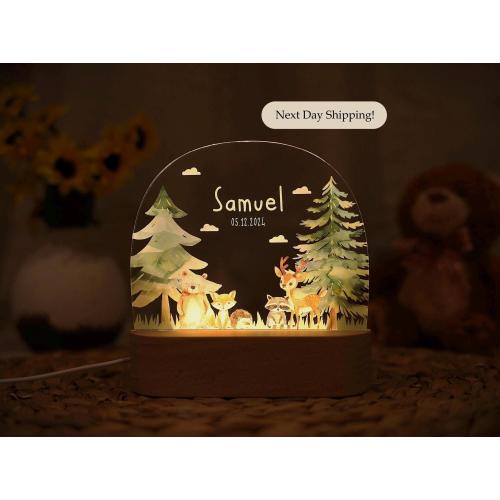 Baby boy night light, kids birthday gift, baby girl gift ,babys gift ,baptism gift ,cute animal baby gift, baby boy gift, bedside lamp