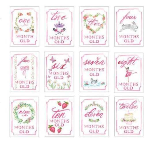 Monthly Milestone Cards, Girl - Over The Moon Gift | Maisonette