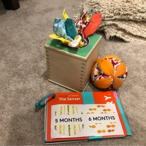 Lovevery The Senser Play Kit: 5 - 6 months